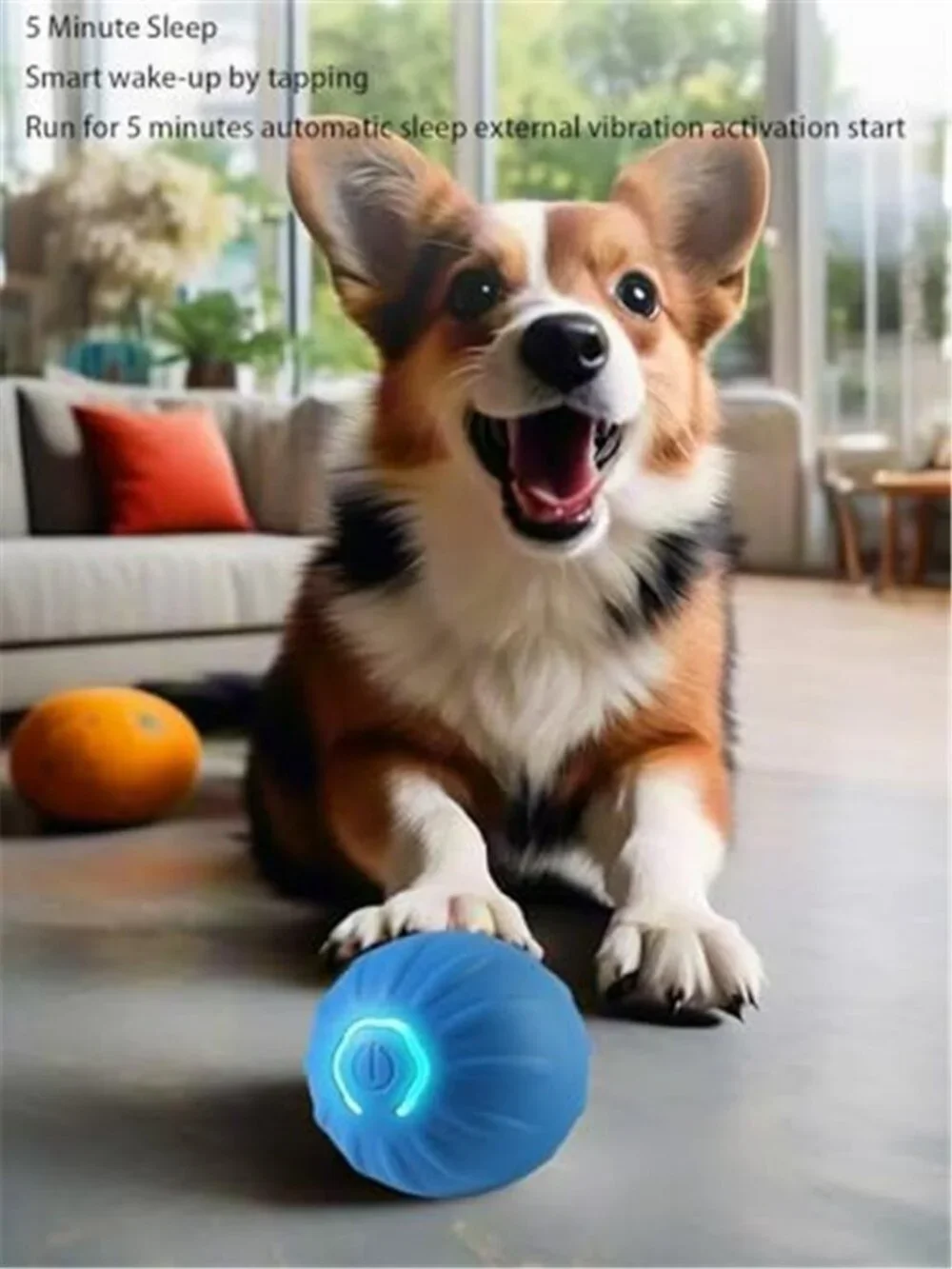 Interactive LED Dog Ball （2 inch）- USB Rechargeable Motion-Activated - F2